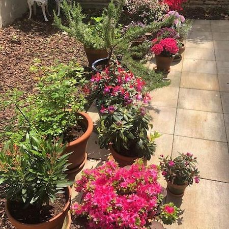 Gartenwohnung In Haidhausen Μόναχο Εξωτερικό φωτογραφία