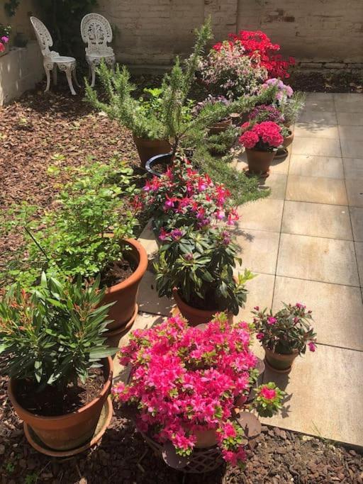 Gartenwohnung In Haidhausen Μόναχο Εξωτερικό φωτογραφία
